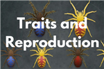 Traits and Reproduction Order Form 